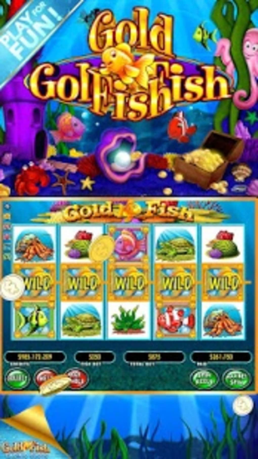 €680 Online Casino Tournament at Casino Cruise