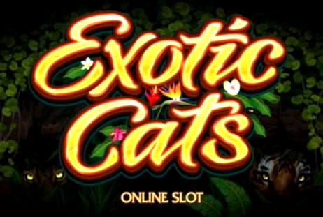 575% Casino Welcome Bonus at Jet Bull Casino