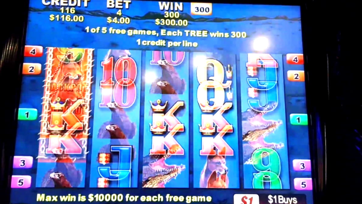 25 Free Spins Casino at Slotty Dubai Casino