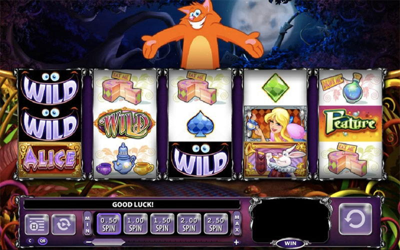 260 Free spins casino at Jet Bull Casino