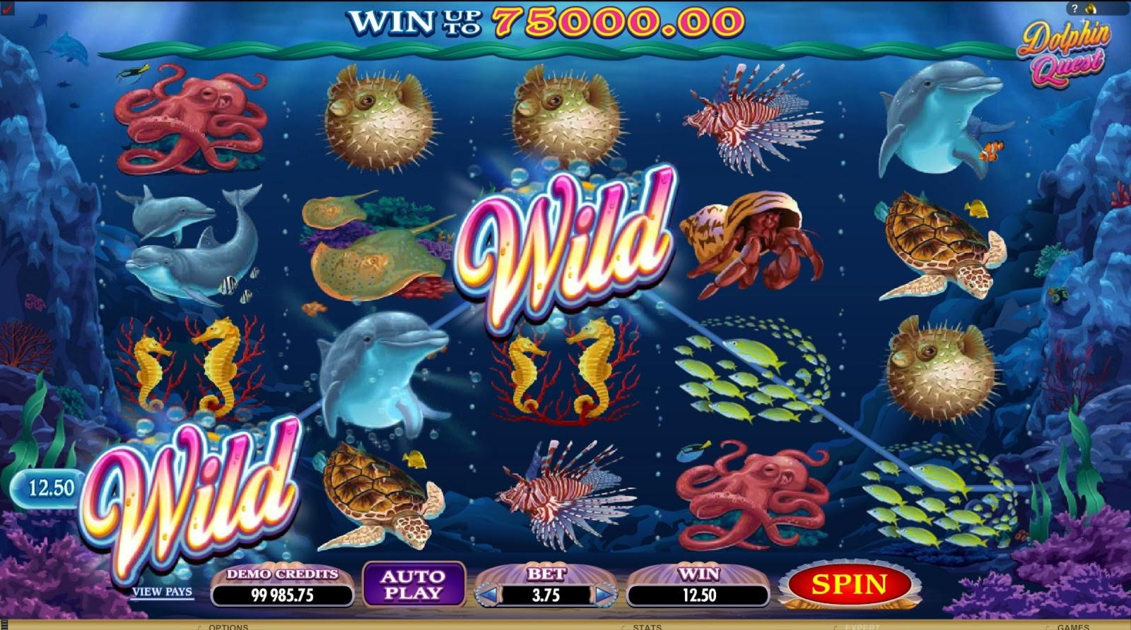 EUR 3365 No Deposit Bonus at Wunderino Casino