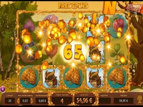 $950 No Deposit at Slotty Dubai Casino