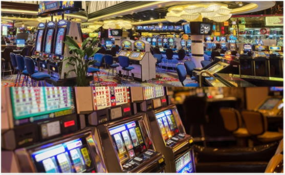£555 Daily freeroll slot tournament at Spins Royale Casino