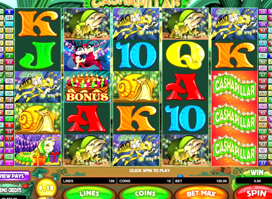 ﻿$365 Daily freeroll slot tournament at Spin Up Casino