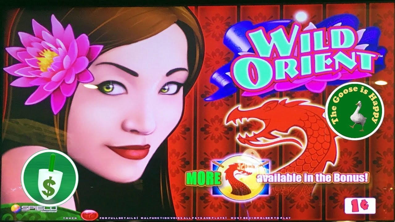 €22 Daily freeroll slot tournament at Wunderino Casino