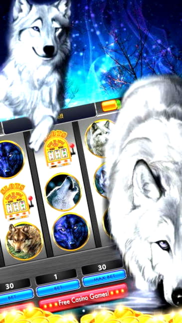 €395 Daily freeroll slot tournament at Casino Heroes