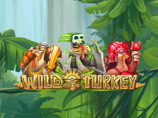 465% Casino match bonus at Casino Cruise