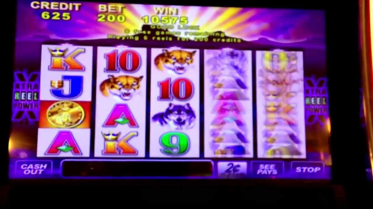 55 Free spins casino at Spins Royale Casino