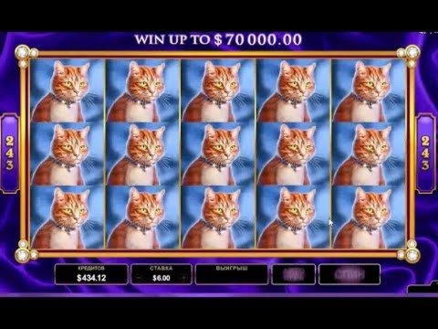 £115 FREE CHIP CASINO at bWin Casino