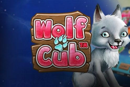 835% Best Signup Bonus Casino at Jet Bull Casino