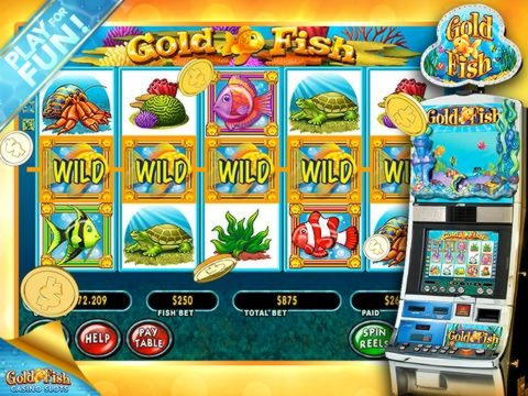 370% casino match bonus at Slotty Dubai Casino