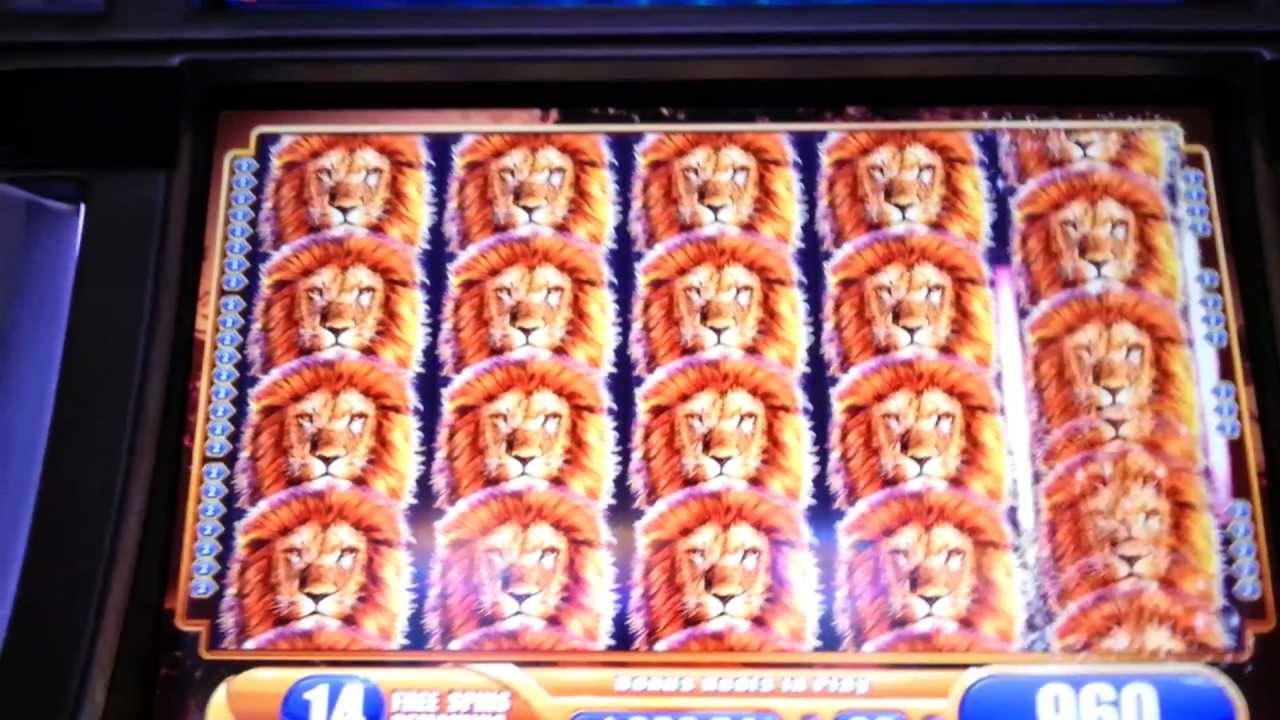 $800 Free Casino Tournament at Spin Palace Casino