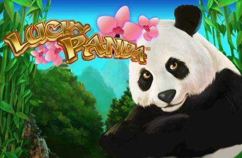 855% Best signup bonus casino at Bet At Home Casino