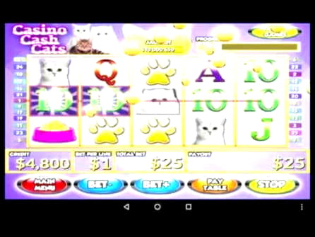 485% Best signup bonus casino at CasiPlay Casino