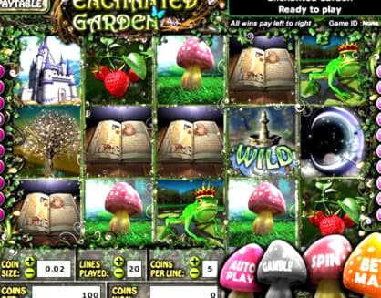 €470 Daily freeroll slot tournament at Royal Panda Casino