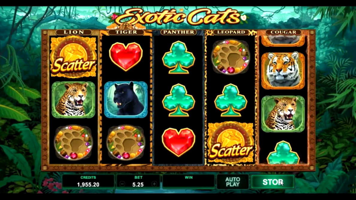 44 FREE Spins at Karamba Casino