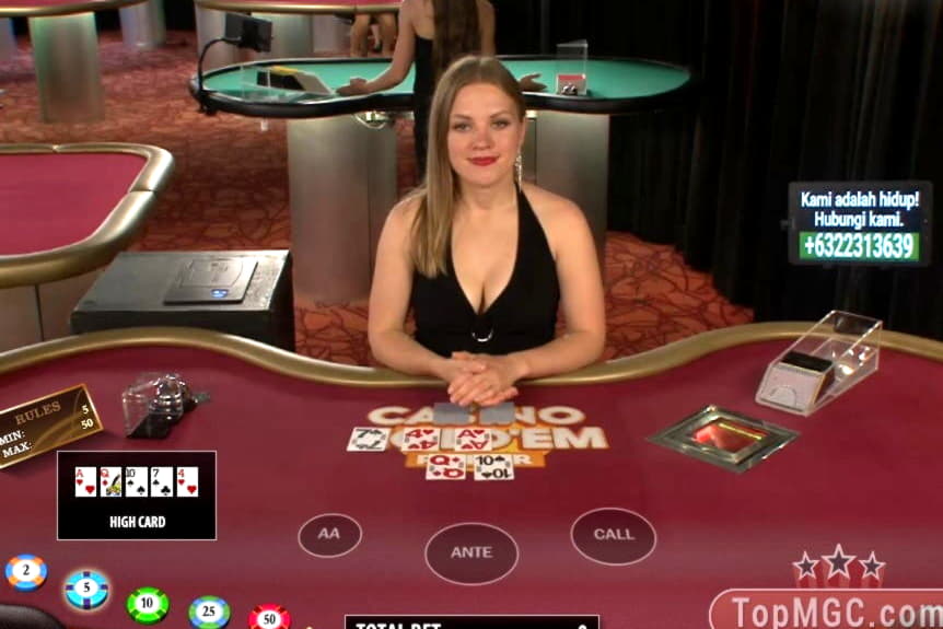 120 Free spins at Royal Panda Casino