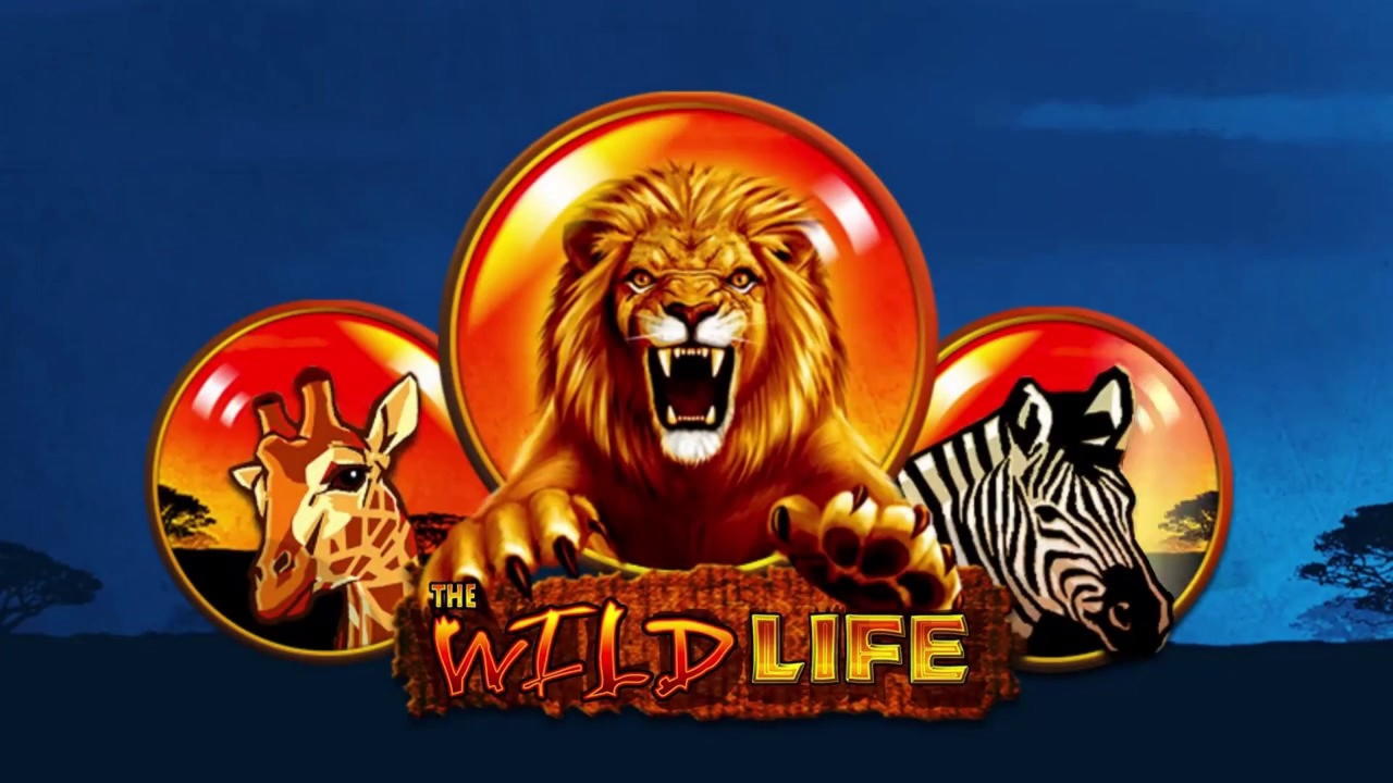15 Free casino spins at Bet At Home Casino