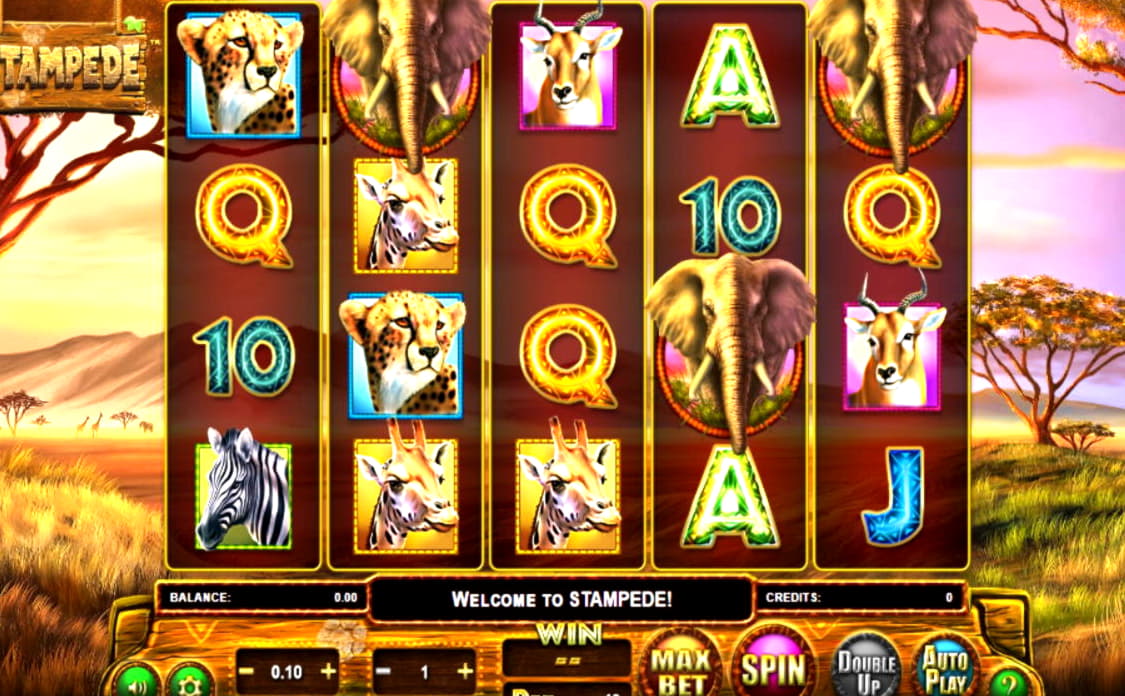 £325 free casino chip at Slotty Dubai Casino
