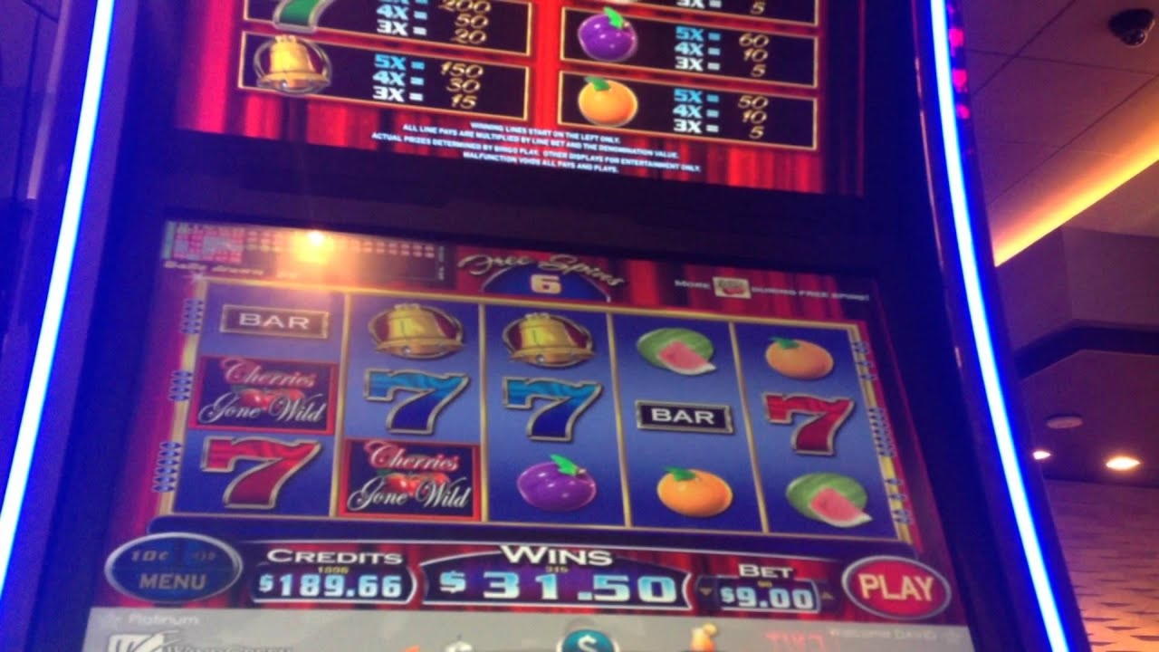 EUR 375 no deposit bonus code at Casino Cruise