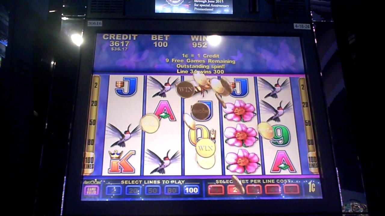 €3645 no deposit bonus at Spins Royale Casino