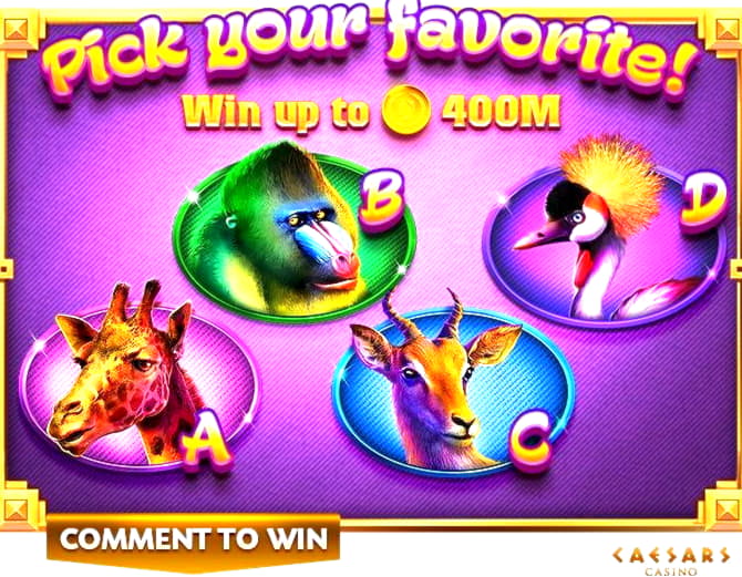 EURO 245 Casino tournaments freeroll at Wunderino Casino