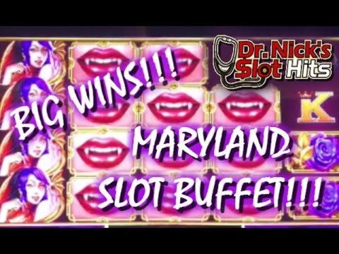 Eur 785 Daily freeroll slot tournament at Spin Up Casino