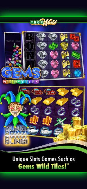 EURO 325 Casino Chip at Wunderino Casino