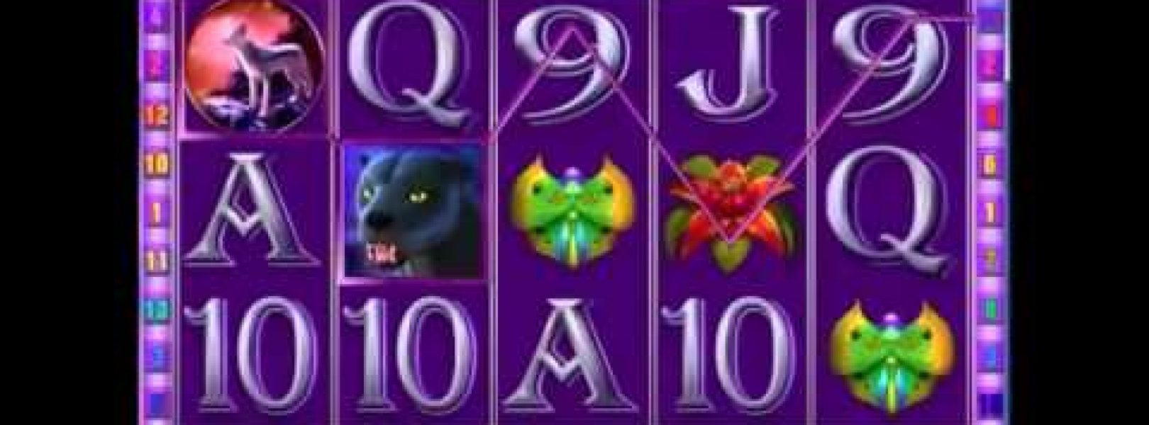 €40 Mobile freeroll slot tournament at Party Casino