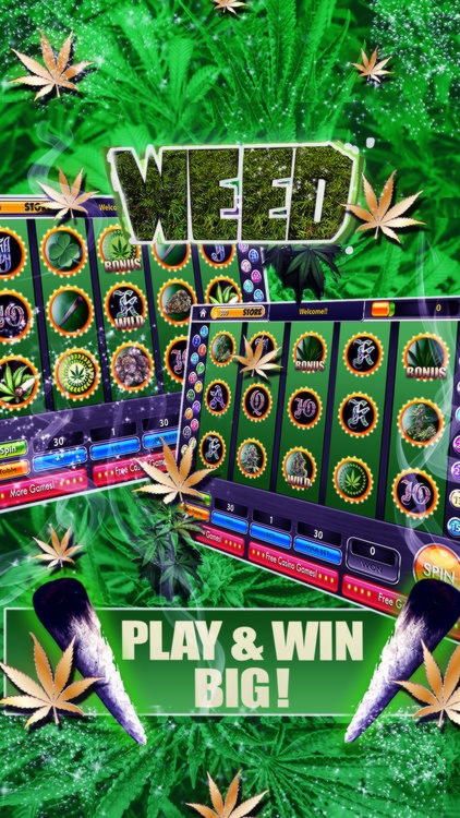 €3525 no deposit bonus casino at Spin Up Casino