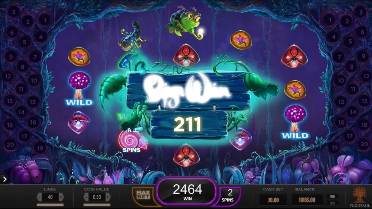 €1220 NO DEPOSIT BONUS at Mrgreen Casino