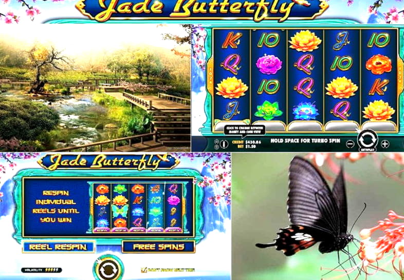 Eur 70 Free Casino Chip at Slotty Dubai Casino