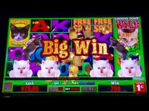 EUR 20 Free Casino Tournament at Royal Panda Casino
