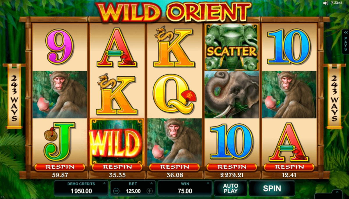 $175 Free chip at Casino Cruise