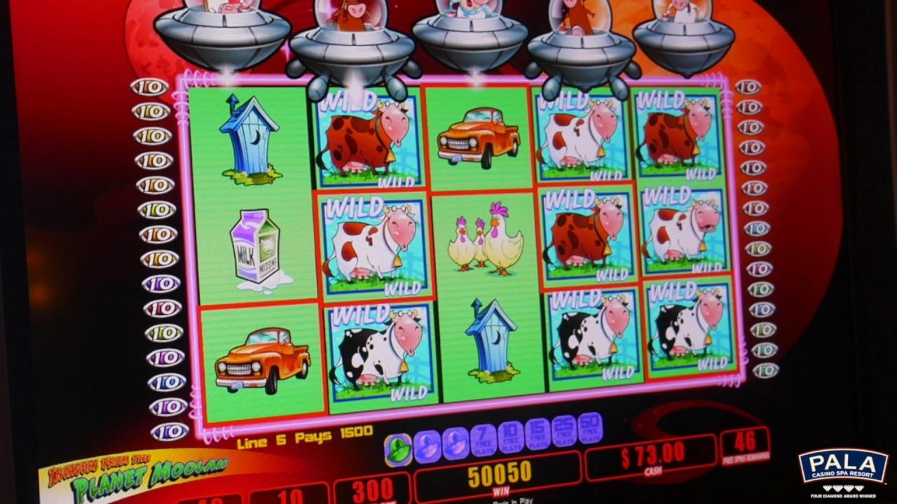 270 Free spins no deposit at Wunderino Casino