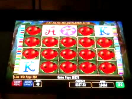 225 Free spins no deposit casino at Slotty Dubai Casino