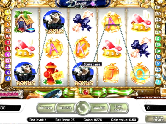 €420 Online Casino Tournament at Spin Up Casino