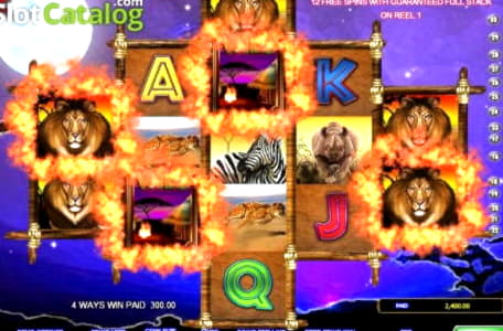 75% No Rules Bonus! at Spin Up Casino