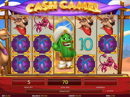﻿$150 free casino chip at Casino Cruise