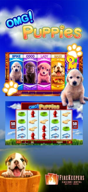 220% Match Bonus at Slotty Dubai Casino