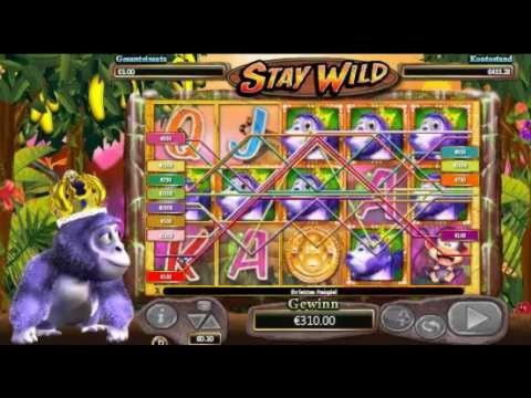950% Match Bonus Casino at Slotty Vegas Casino