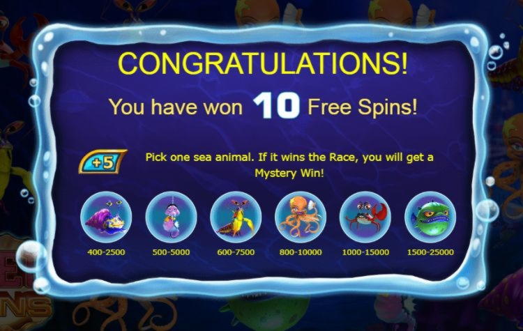 €545 NO DEPOSIT BONUS at CasiPlay Casino