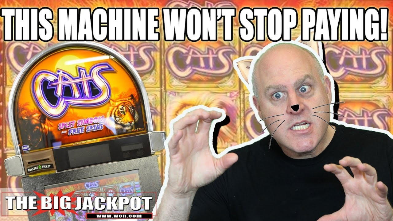 €830 Casino tournaments freeroll at Yes Casino 