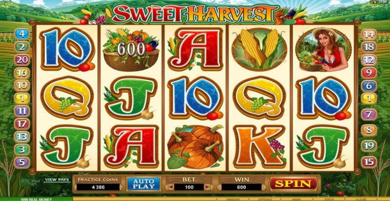 295 free casino spins at Mrgreen Casino