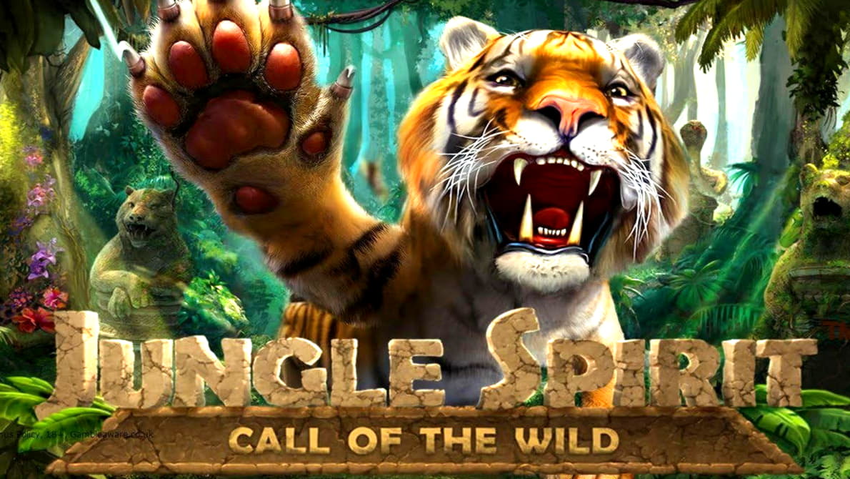 €4685 no deposit bonus at Slotty Dubai Casino