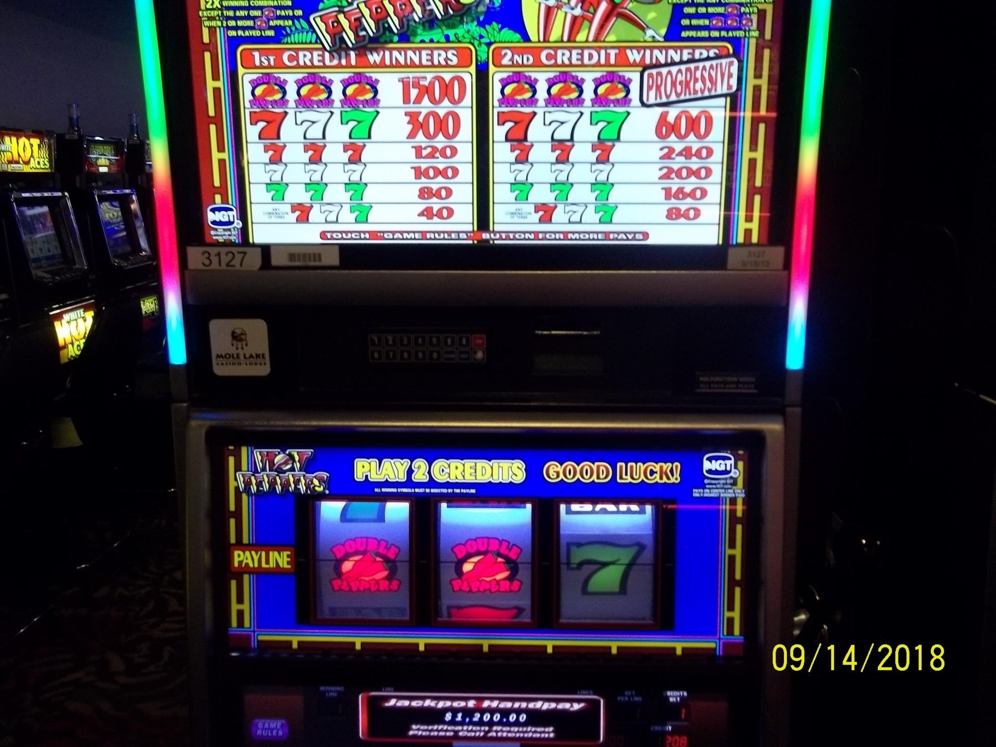 €515 Daily freeroll slot tournament at Wix Stars Casino