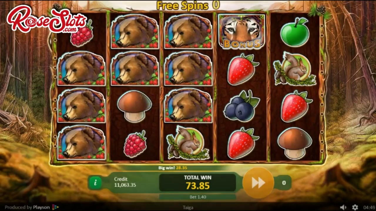 55 Free spins no deposit casino at Twin Casino