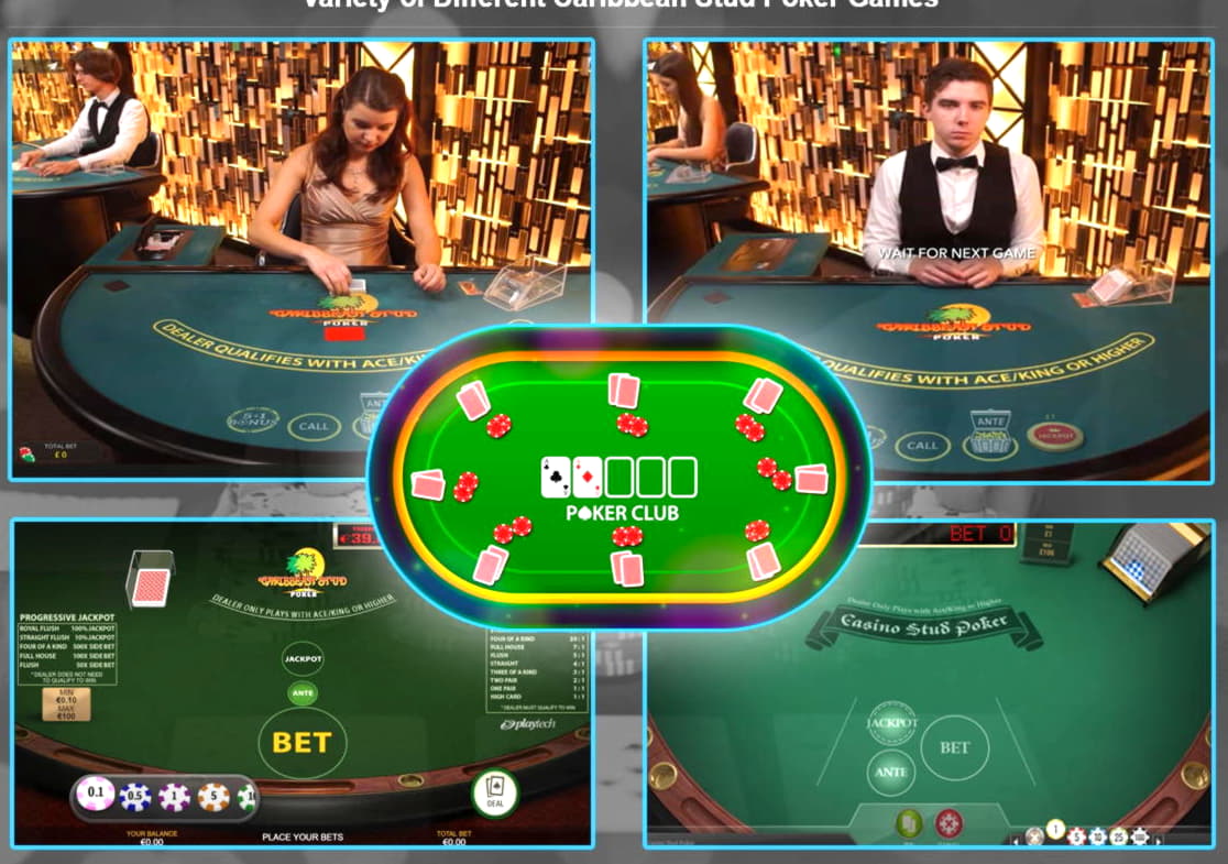 50 Free Spins Casino at Royal Panda Casino
