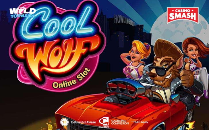 265 Free Spins right now at Casino Cruise