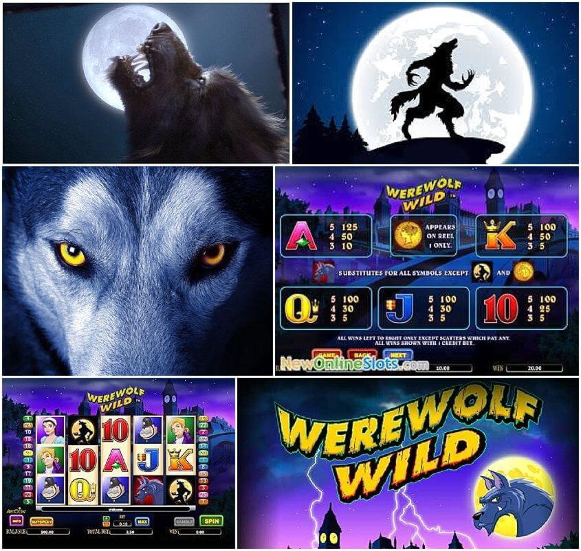 $320 free chip casino at Casino Cruise